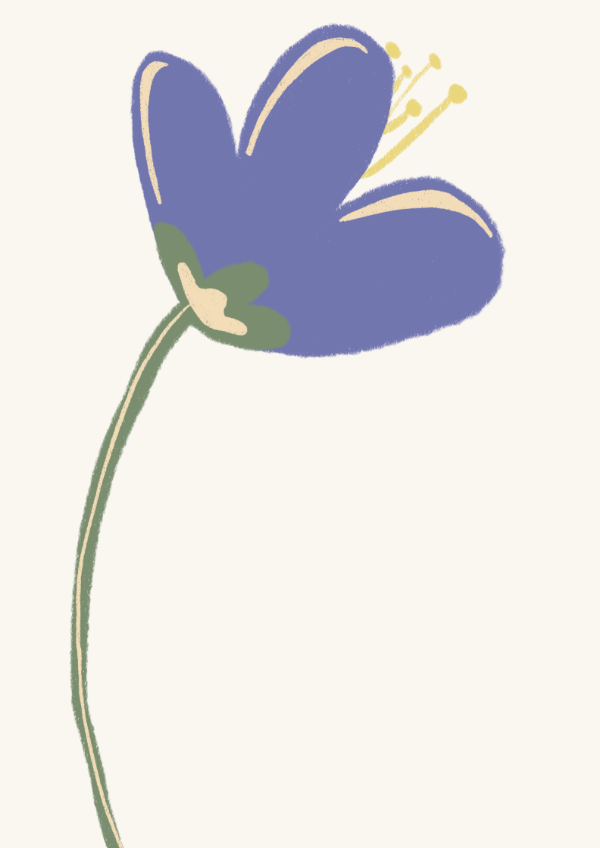 Violette Blume Atelier Zacari